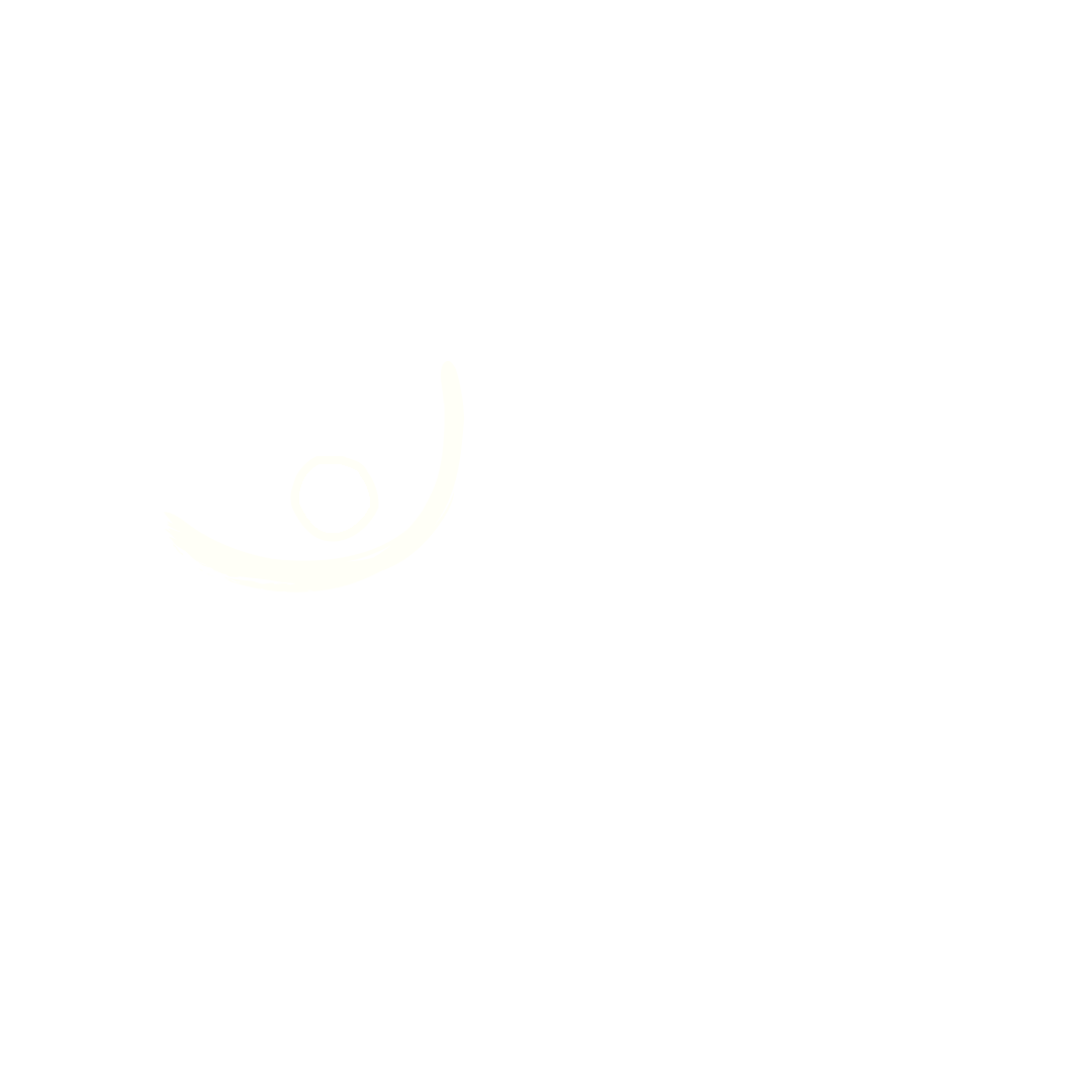 icam essai 2